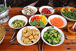 RFM - MULTI-VENDOR - STEPHANIEPLLC